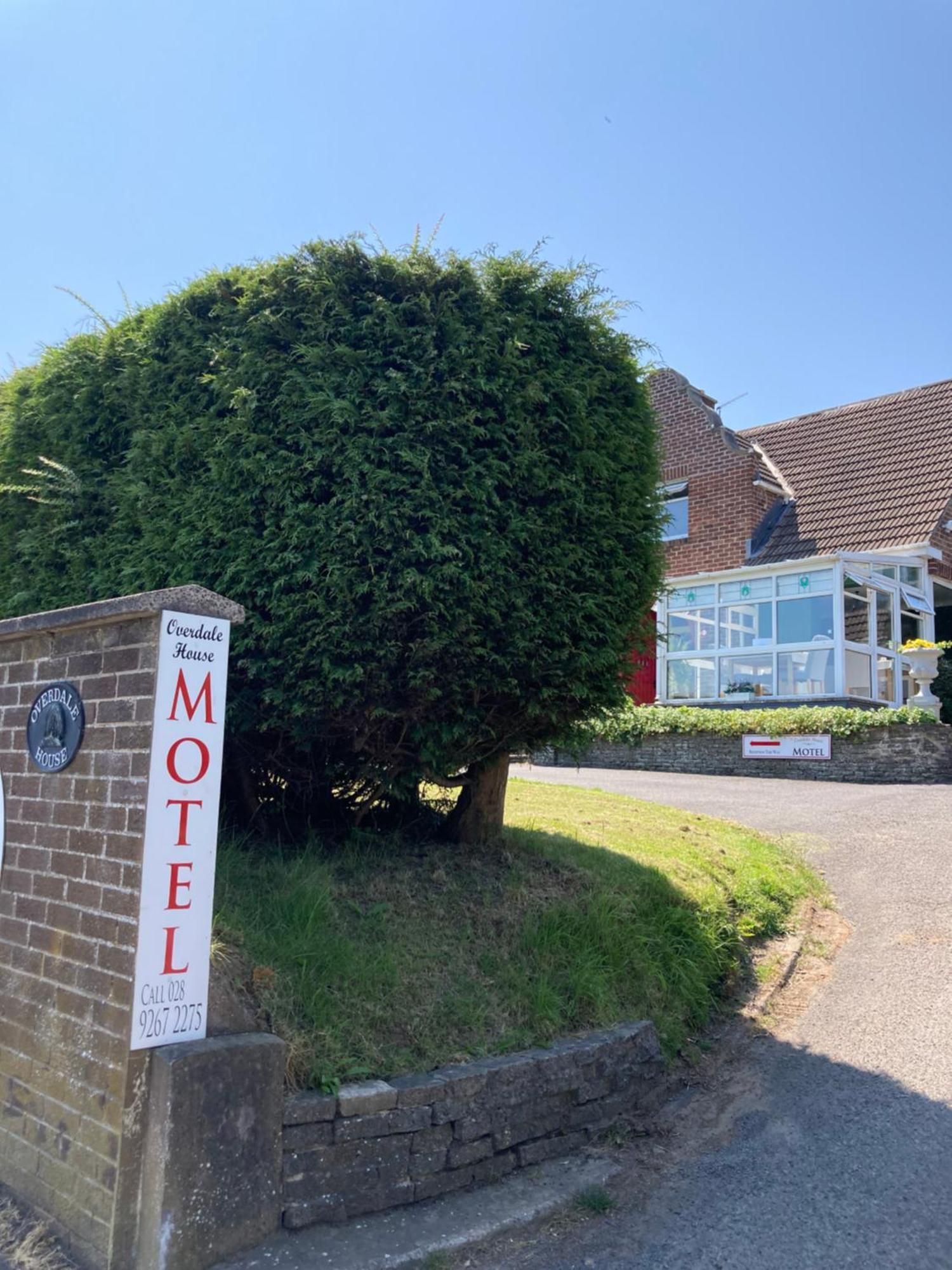 Overdale Motel Lisburn Exteriör bild